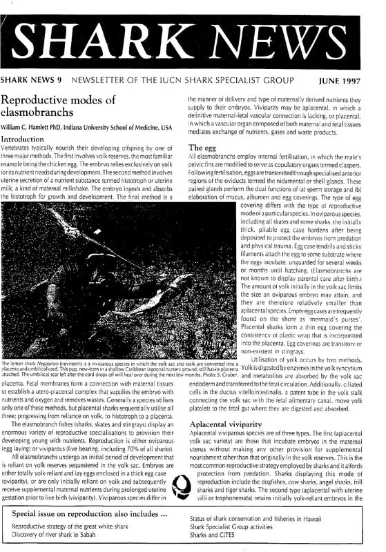 Discover the Jaws-Dropping Experience at Admiral Shark Online Casino UK Site - overview